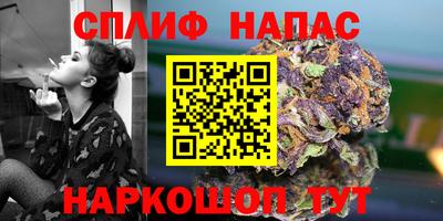 прущие грибы Берёзовский