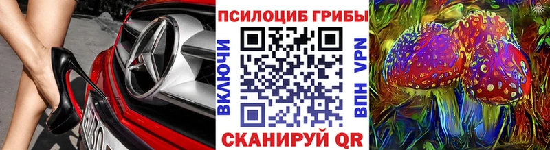 Галлюциногенные грибы прущие грибы  Горячий Ключ 