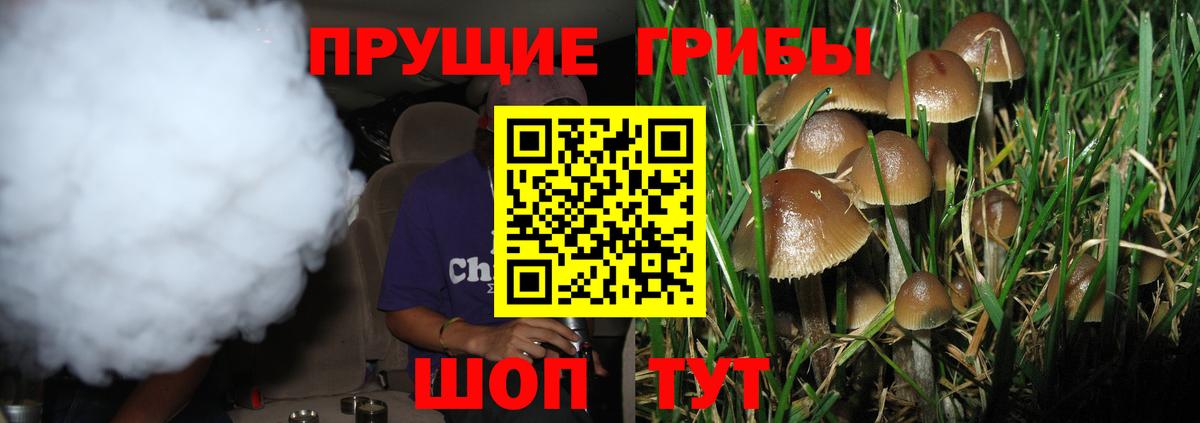 Галлюциногенные грибы MAGIC MUSHROOMS Горячий Ключ