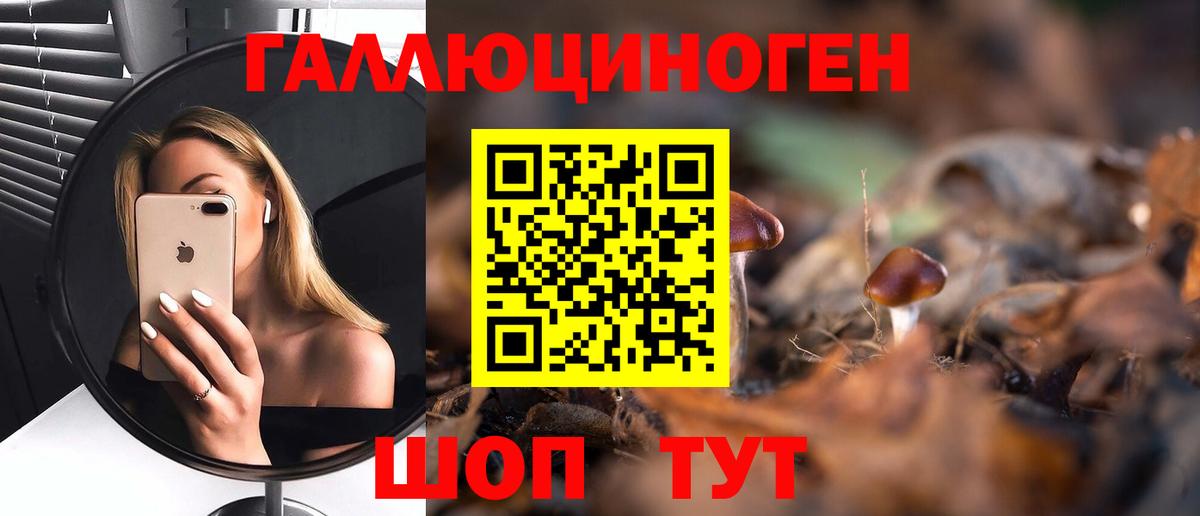 Псилоцибиновые грибы ЛСД  Вход с VPN  Горячий Ключ  Галлюциногенные грибы прущие грибы 